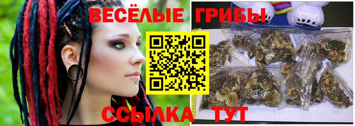 Псилоцибиновые грибы ЛСД Шатура